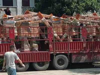 Brazzers físeán catagóir Inexperienced, Déagóirí, Seapáinis, Aziatochki, Téalainnis, Físeán HD ar a dtugtar Téalainnis Cailín Kim watch gan chlárú sa HD